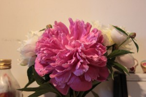 IMG_0300 IMG_0300